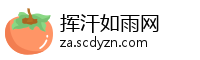 挥汗如雨网